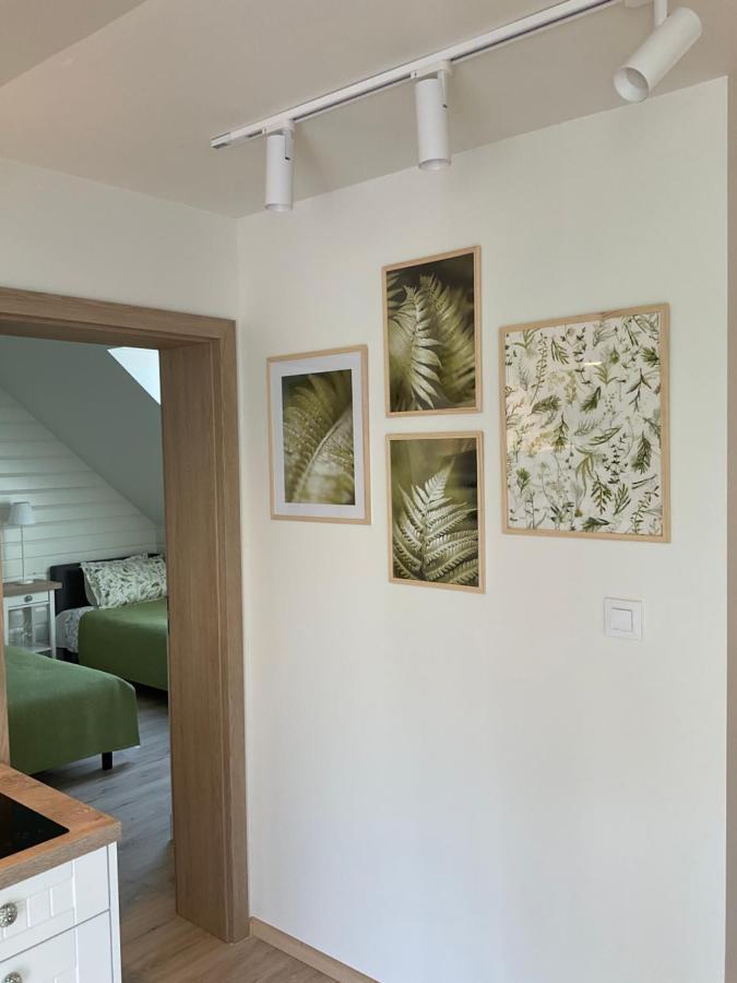 Apartamenty U Kasi Kudowa Zdroj Exterior photo